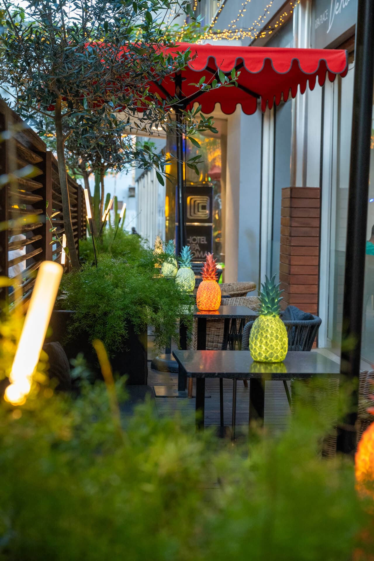 La terraza